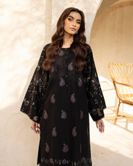 Dhanak 2PC Embroidered Ensemble – ZC6002