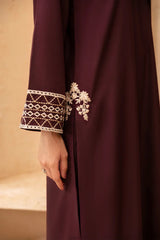 Azure Dhanak 2PC Embroidered Ensemble – ZC660